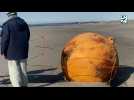 Une mystérieuse sphère s'échoue sur une plage japonaise