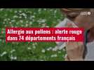 VIDÉO. Allergie aux pollens : alerte rouge dans 74 départements français