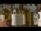 Distillerie Ergaster : Des spiritueux au pays noyonnais