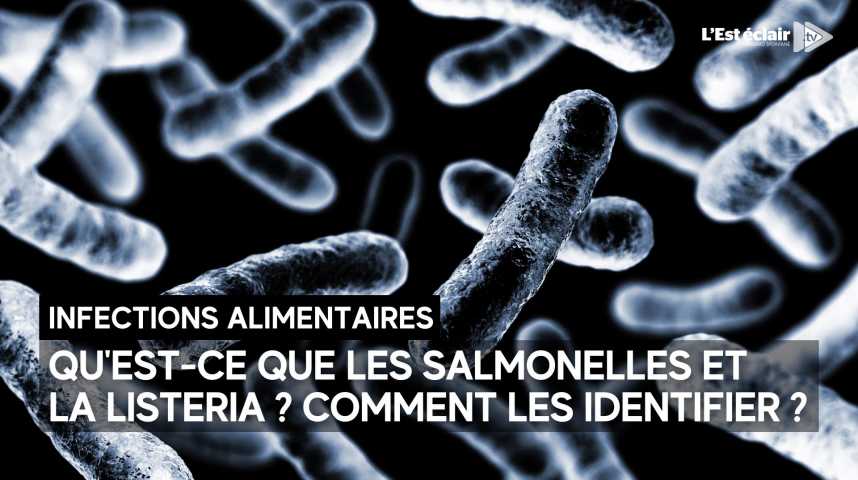 Du saumon fumé rappelé dans toute la France pour des soupçons de  contamination à la listeria