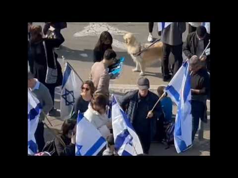 Israeli protesters gather in Tel Aviv against justice reform bill