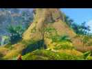 Vido Trials of Mana HD : combat contre les Boss alternatifs