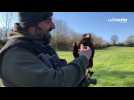 VIDEO. Des fauconniers interviennent au golf de Bressuire pour effaroucher les corneilles