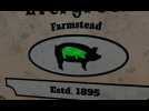 Vido Farming Simulator 22 - Les 10 cochons d'Elmcreek