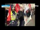 VIDÉO. Manifestation à La Flèche ce samedi 11 février : 400 personnes rassemblées place Henri IV
