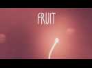 Vido Arise: A simple story - Niveau 6 - Fruit