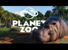 Vido Planet Zoo : 20 minutes de gameplay