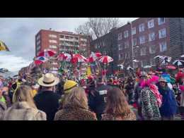 Carnaval : à la bande de Dunkerque, sept signalements de piqûres  potentielles recensées - Le Phare dunkerquois