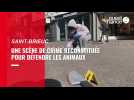 VIDEO. A Saint-Brieuc, une reconstitution pour sensibiliser aux animaux tués dans les abattoirs