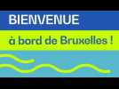 Le Port de Bruxelles : un coeur vert qui bat dans la capitale de l'Europe
