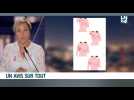 Un avis sur tout: ode à mes seins