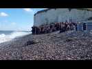 Le CHENE a relâché deux phoques sur la plage de Veulettes-sur-Mer samedi 8 octobre
