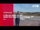 Les marais salants de Guérande, un puits de carbone de 2000 ha qui contribue à décarboner