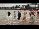 VIDÉO. Dans le Finistère, plus d'une centaine de baigneurs profitent d'une dernière baignage, dans une eau à 11°C