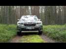 The new Subaru Forester ECO HYBRID Driving the forest