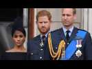A neurotic bully: Prince Harry’s memoir threatens monarchy says royal biographer