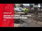 VIDÉO. Réaménagement du centre-ville de Saint-Lô : l'abattage des arbres a commencé