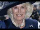 Le prince Harry tacle la reine consort Camilla Parker Bowles qui n'a pas tardé à répondre