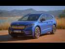 The new ŠKODA ENYAQ RS iV Design in Race Blue