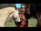 Une ONG uruguayenne achète et fait adopter des chevaux pour leur éviter l'abattoir