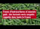 VIDÉO. Traces d'hydrocarbures et mauvais goût : des haricots verts surgelés rappelés dans toute la France