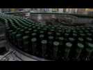 Métropole lilloise : Heineken investit à Mons-en-BarSul et Illies-Salomé