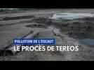 Pollution : le sucrier Tereos à la barre