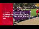 250 personnes manifestent à Niort contre les violences sexuelles et sexistes