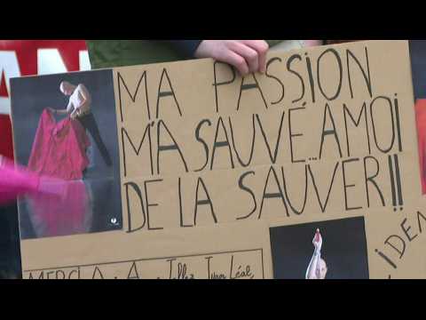 In southern France, elected officials rally against bullfight ban