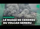 En Indonésie, l'éruption du volcan Semeru créé un nuage de cendres gigantesque