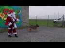 Noël des animaux SPA St-Georges-sur-l'Aa