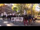 Toulouse : la filière équine manifeste contre la hausse de la TVA