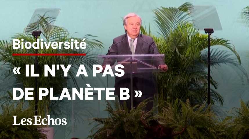 Illustration pour la vidéo « L'humanité est devenue une arme d'extinction massive », déclare Antonio Guterres (ONU) à la COP15