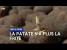 Inflation : la patate n'a pas la frite