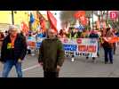 Aude : 14 000 manifestants contre la réforme des retraites entre Narbonne et Carcassonne