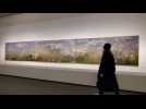 Une minute au coeur de l'exposition Monet-Mitchell à Paris : un vrai bain de couleurs !
