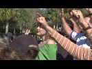 US: Bolsonaro supporters pray and chant outside Florida rental home