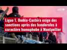 VIDÉO. Ligue 1. Oudéa-Castéra exige des sanctions après des banderoles à caractère homopho