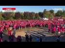 VIDÉO. Octobre rose à Angers: plusieurs milliers de personnes au départ de la course au Lac de Maine