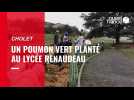 VIDÉO. Cholet. 900 arbres au lycée Renaudeau : « Ça fait du bien d'avoir un espace vert en plus »