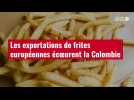 VIDÉO. Les exportations de frites européennes écoeurent la Colombie