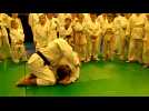 Stage de judo à Forges-les-Eaux