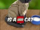 Lego Cat