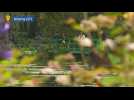 Giverny : Le jardin de Claude Monet se prépare à la prochaine saison florale