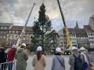 Le grand sapin de Noël de Strasbourg a bien atterri