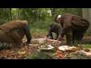 Somme : Les chasseurs à la collecte de glands