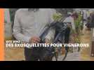 Des exosquelettes pour vignerons, ça existe !