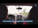 Tout savoir sur le permis de conduire