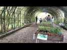 Portes ouvertes du jardin botanique de Marnay-sur-Seine