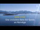 Croisière dans les fjords en Norvège : 1 minute 30 à bord du MSC Grandiosa